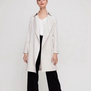 Aritzia Babaton Maximo Trench Coat